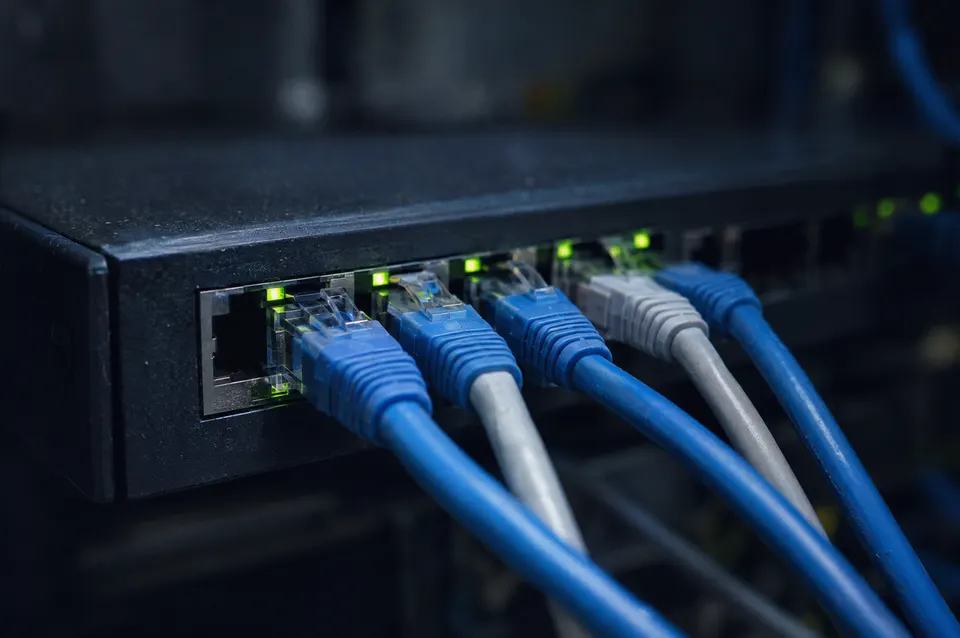 Illustration: Network cables plugged into switch ports